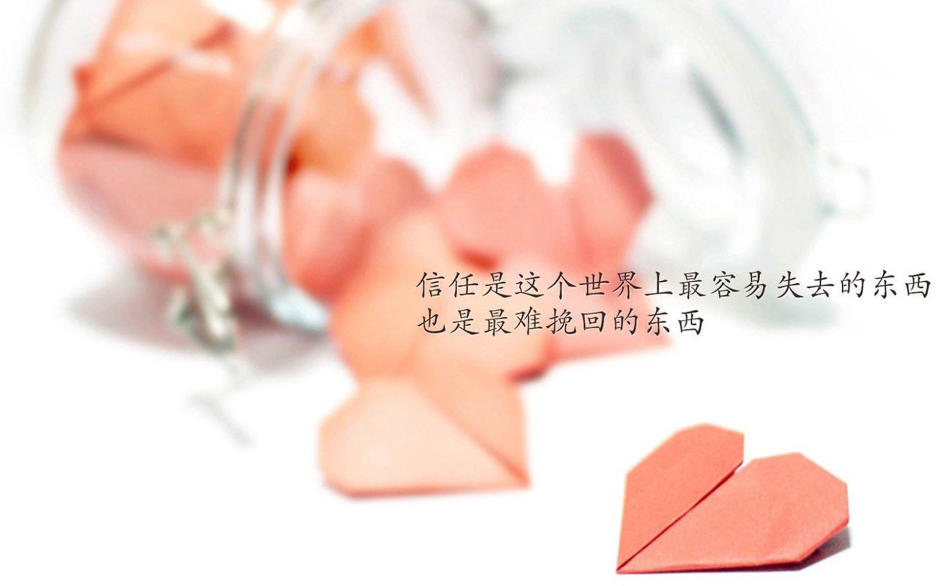 体育场馆绿色环保改造项目，体育场馆绿色环保改造项目方案