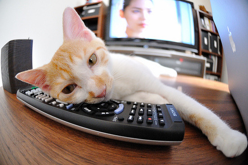 女排亚洲杯中国队击败韩国晋级决赛，女排亚锦赛决赛中国vs韩国